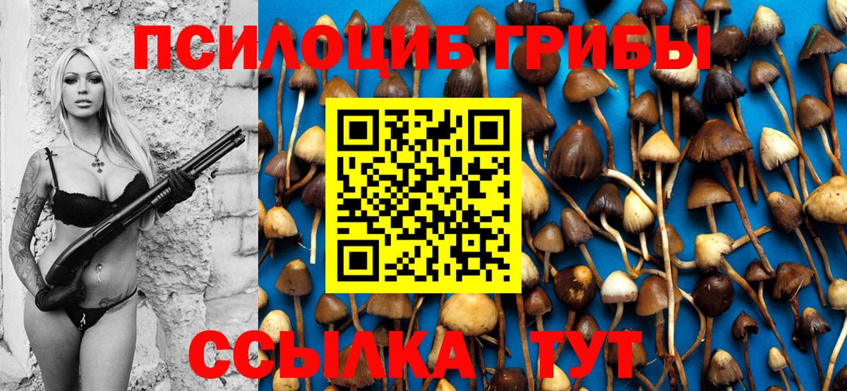 магазин  наркотиков  Вход с VPN  Новоалтайск  Галлюциногенные грибы Cubensis 