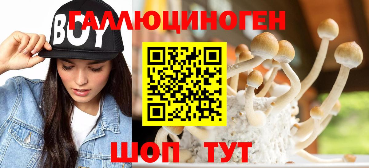 Галлюциногенные грибы ЛСД Новоалтайск